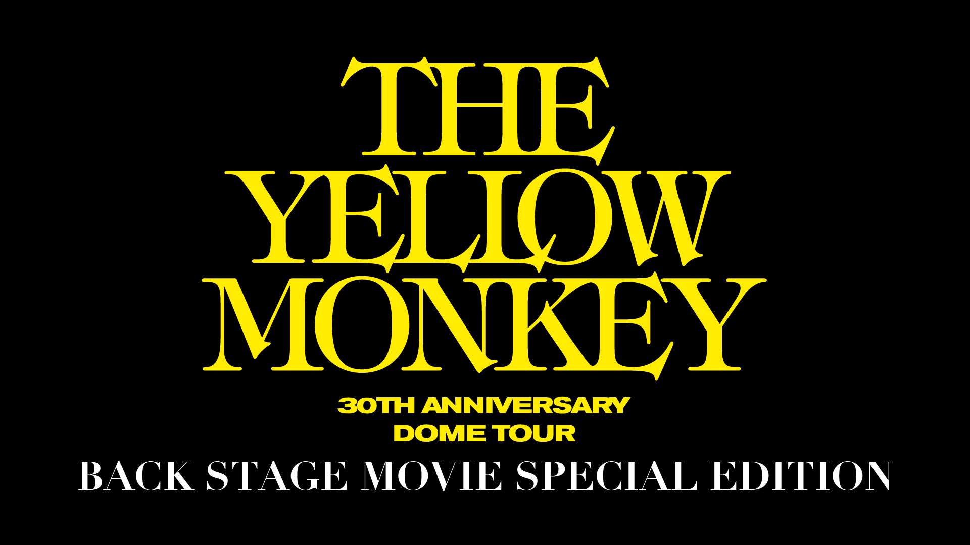 激安の THE Anniversary 30th ミュージック YELLOW SUPER MONKEY 