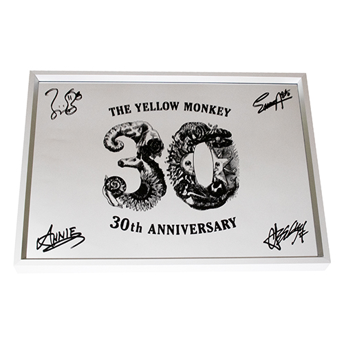 THE YELLOW MONKEY 30th Anniversary DOME TOUR