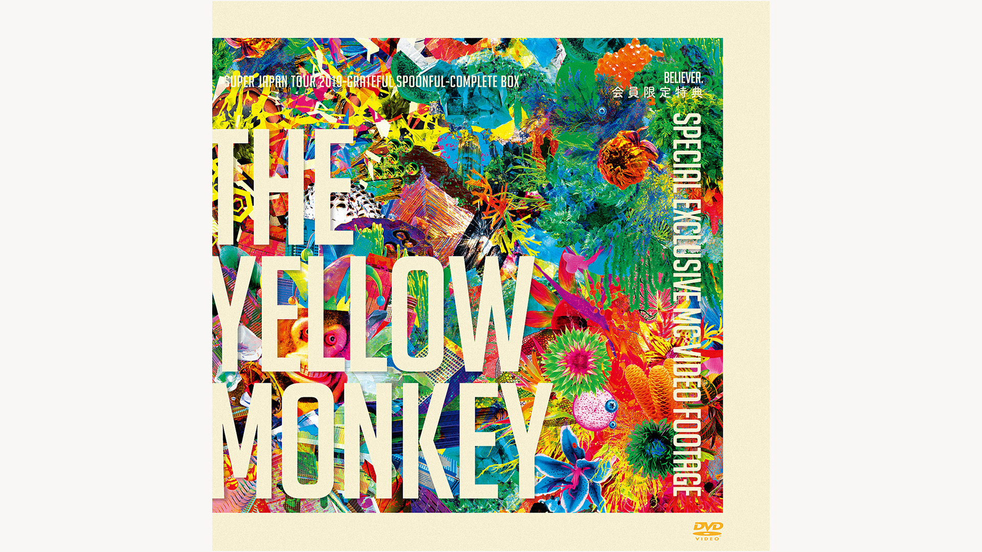 代引き人気 THE DVD - THE YELLOW THE BOXザイエローモンキー MONKEY 